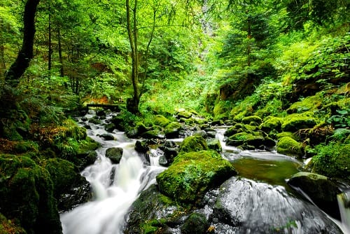 Wandern im Harz